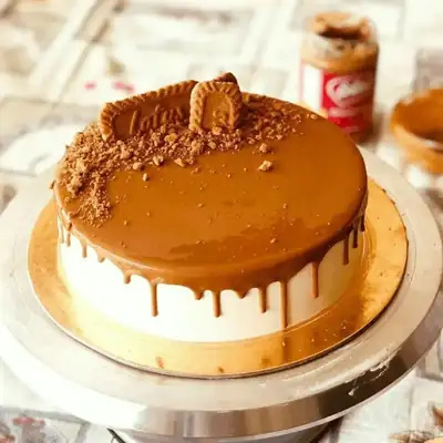Mousse Cake 7